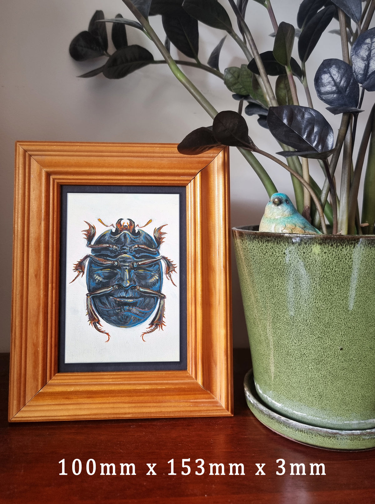 Beetle - The Little Grim Collection
