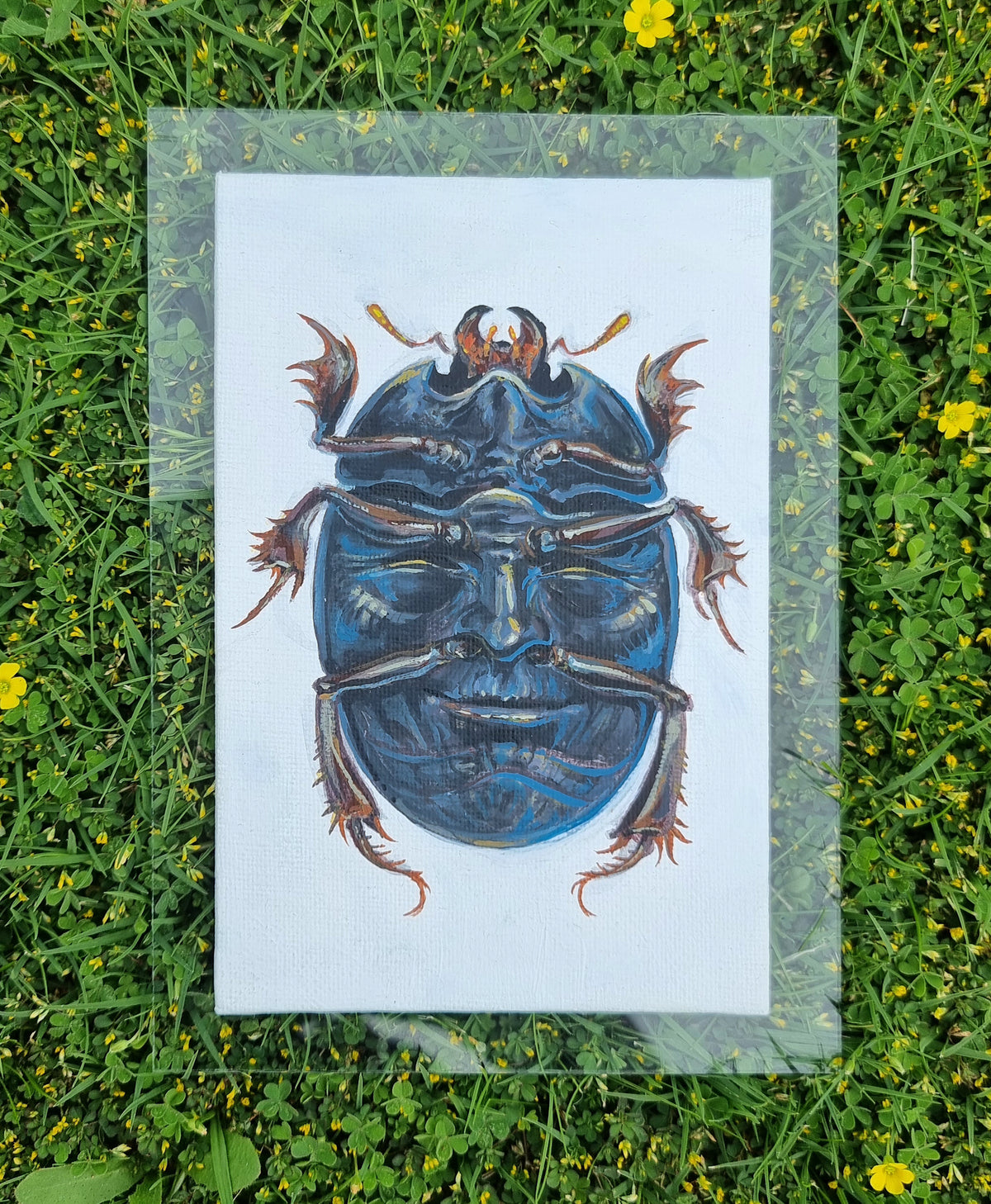 Beetle - The Little Grim Collection