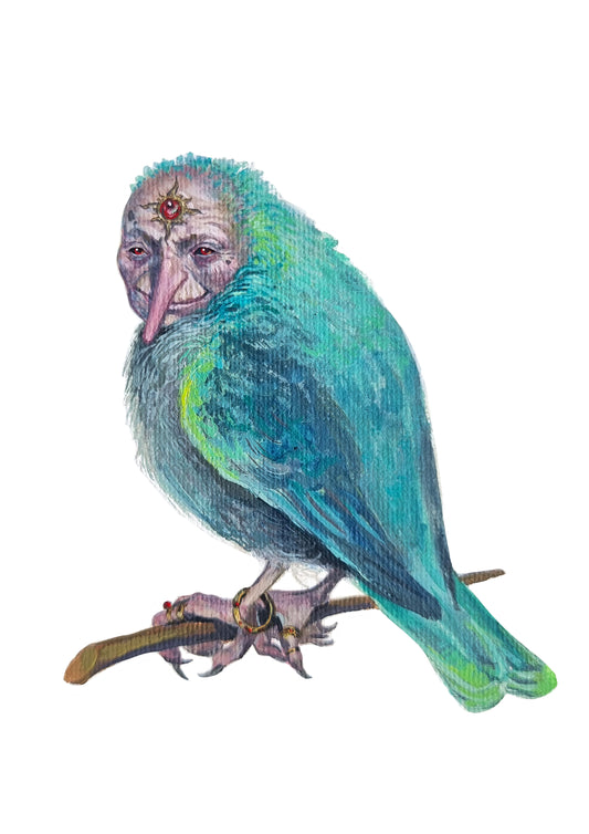 Bird - The Little Grim Collection
