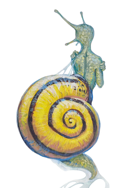 Snail - The Little Grim Collection
