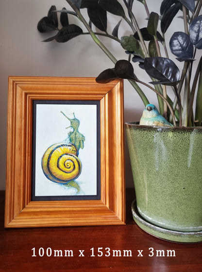 Snail - The Little Grim Collection