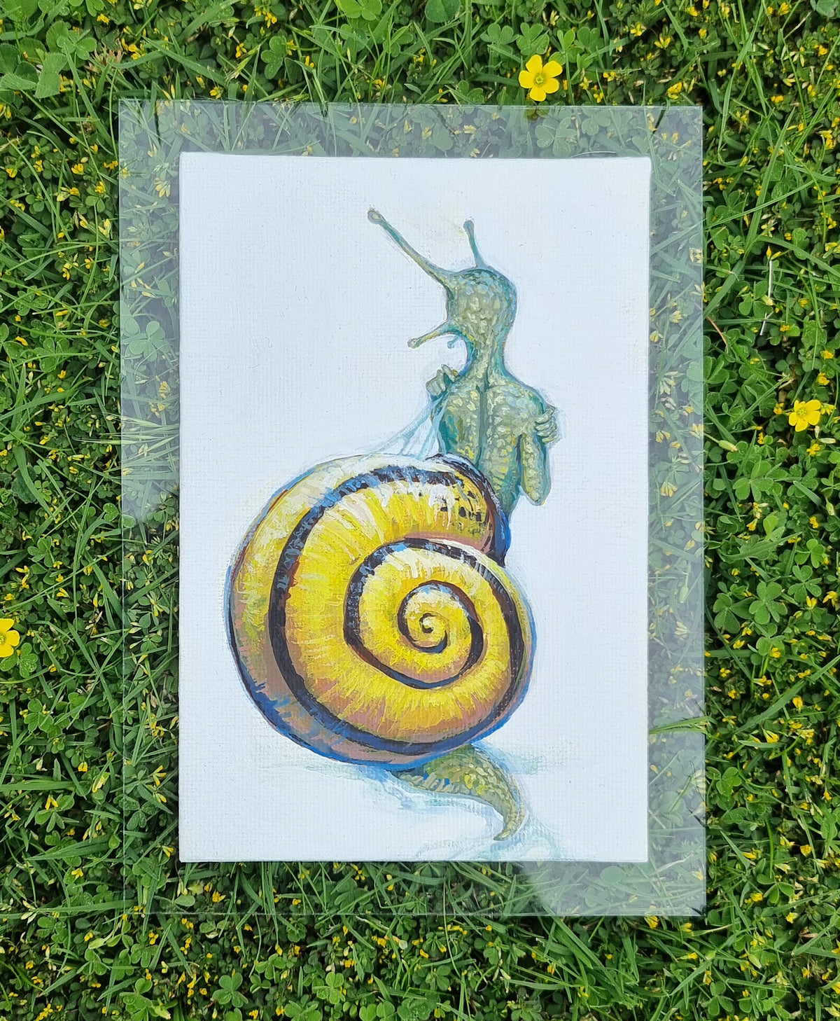 Snail - The Little Grim Collection