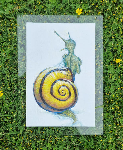 Snail - The Little Grim Collection