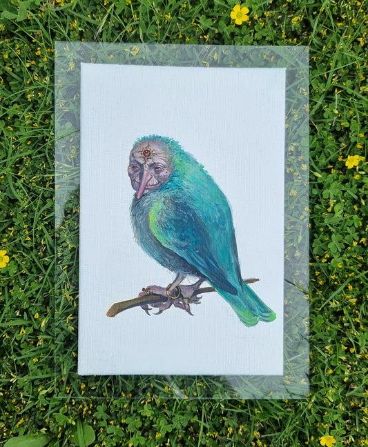 Bird - The Little Grim Collection